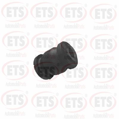 Mounting, control/trailing arm (29.SB.103)