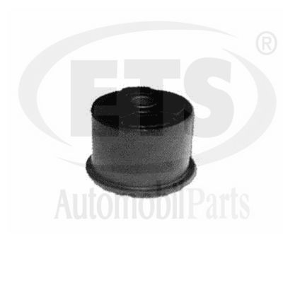 Mounting, control/trailing arm (19.SB.527)
