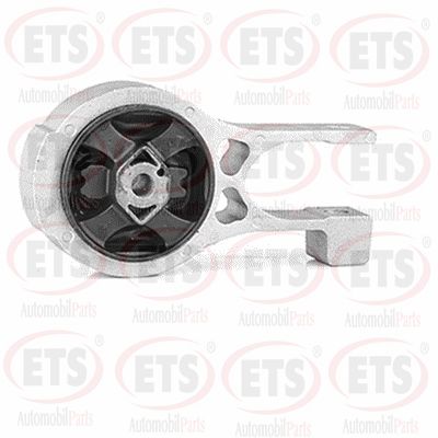 Bracket, gearshift linkage (04.TM.250)