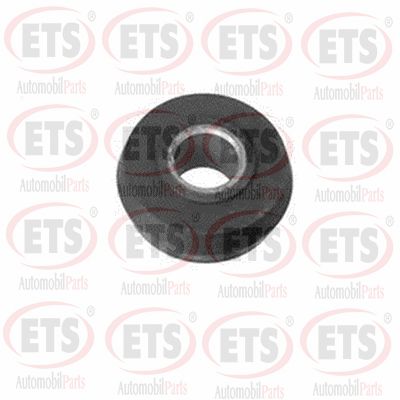 Mounting, control/trailing arm (06.SB.508)