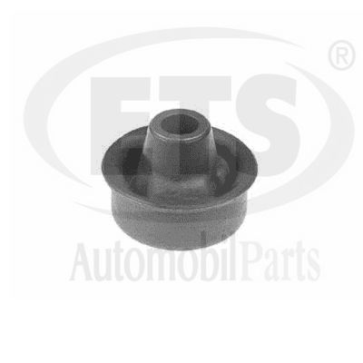 Mounting, control/trailing arm (19.SB.487)