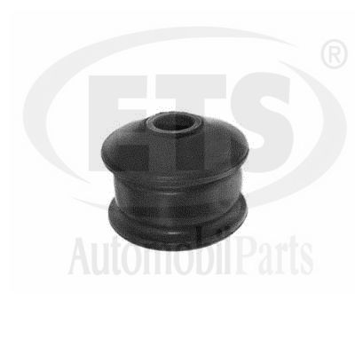 Mounting, control/trailing arm (06.SB.551)