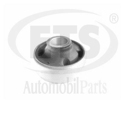 Mounting, control/trailing arm (31.SB.100)