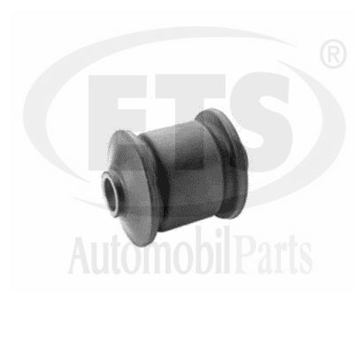 Mounting, control/trailing arm (31.SB.302)