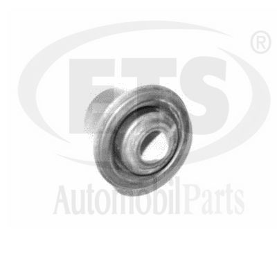 Mounting, control/trailing arm (22.SB.046)