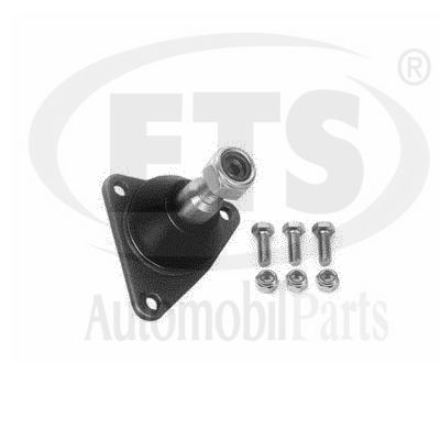 Ball Joint (22.BJ.831)