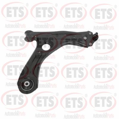 Control/Trailing Arm, wheel suspension (31.TC.669)