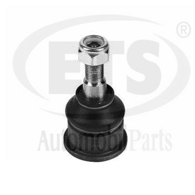 Ball Joint (22.BJ.818)