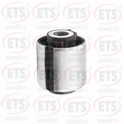 Mounting, control/trailing arm (31.SB.307)