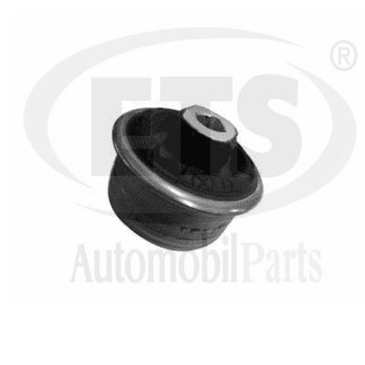 Mounting, control/trailing arm (22.SB.666)