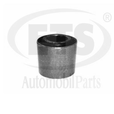 Mounting, control/trailing arm (22.SB.066)