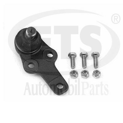 Ball Joint (06.BJ.421)
