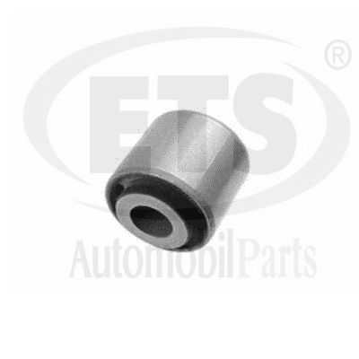 Mounting, control/trailing arm (14.SB.538)