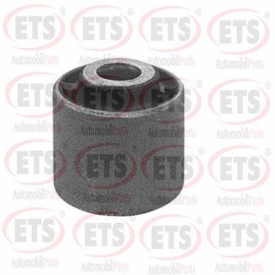 Mounting, control/trailing arm (22.SB.036)