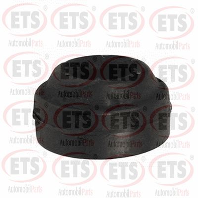 Bushing, axle bracket (31.MB.106)
