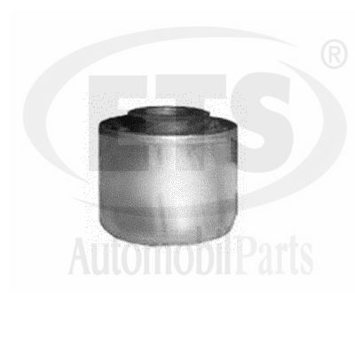 Mounting, control/trailing arm (14.SB.540)