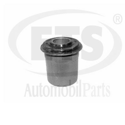 Mounting, control/trailing arm (29.SB.634)