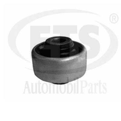 Mounting, control/trailing arm (20.SB.850)