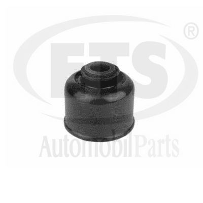 Mounting, control/trailing arm (22.SB.070)