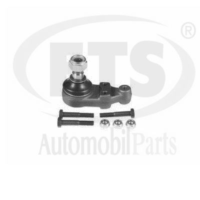 Ball Joint (06.BJ.417)