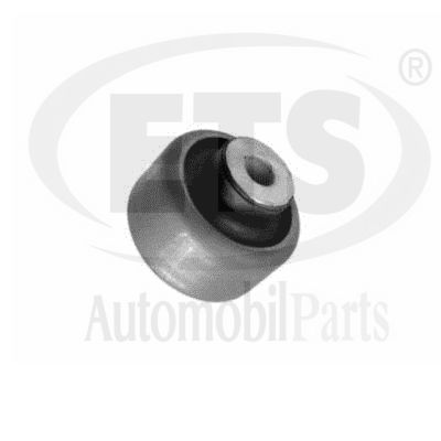 Mounting, control/trailing arm (15.SB.715)