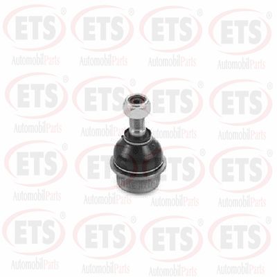 Ball Joint (53.BJ.401)