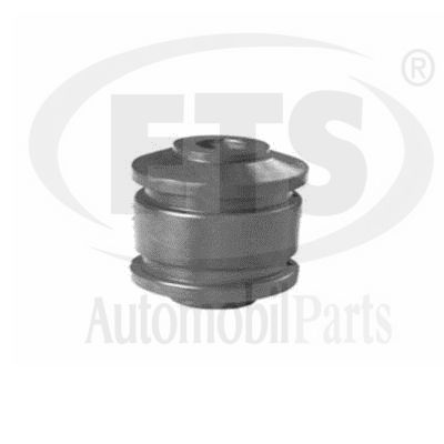 Mounting, control/trailing arm (31.SB.303)