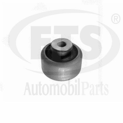 Mounting, control/trailing arm (15.SB.739)
