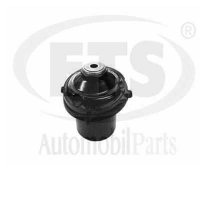 Suspension Strut Support Mount (19.SM.452)