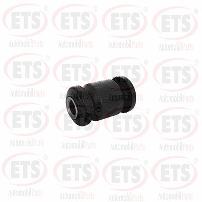 Mounting, control/trailing arm (40.SB.302)