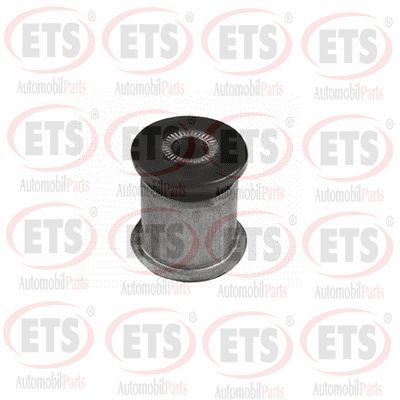 Mounting, control/trailing arm (06.SB.484)