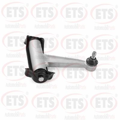 Control/Trailing Arm, wheel suspension (15.TC.250)