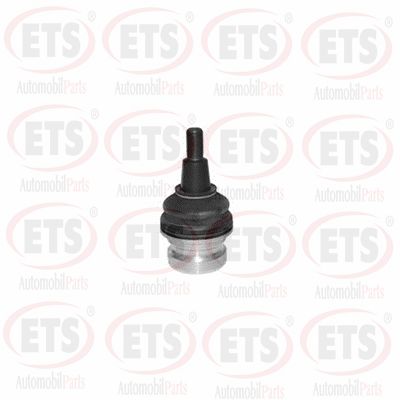 Ball Joint (02.BJ.484)