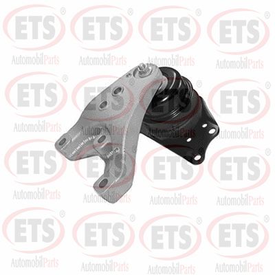 Mounting, engine (31.EM.885)
