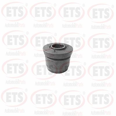 Mounting, control/trailing arm (18.SB.256)