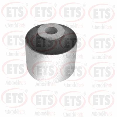 Mounting, control/trailing arm (31.SB.044)