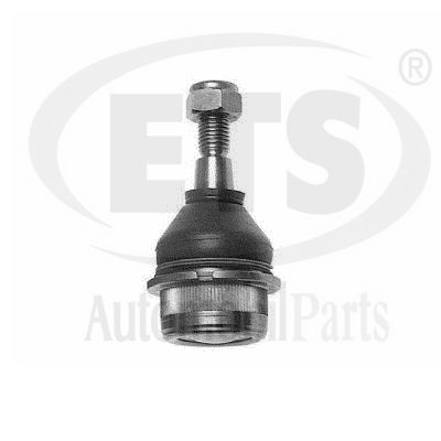 Ball Joint (28.BJ.824)