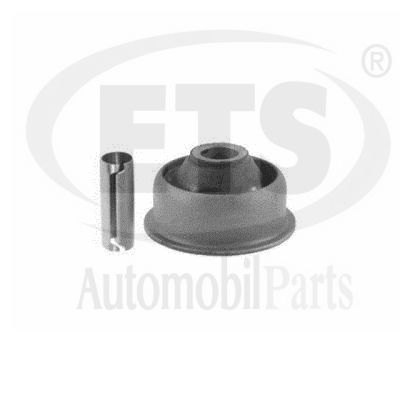 Mounting, control/trailing arm (31.SB.599)