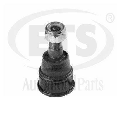 Ball Joint (07.BJ.181)