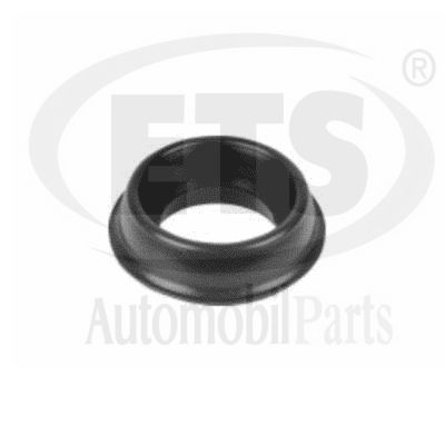 Mounting, engine (22.ST.685)