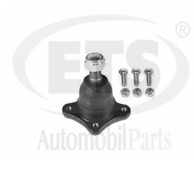 Ball Joint (09.BJ.480)