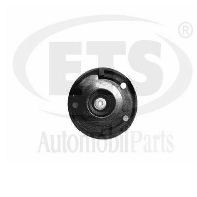 Suspension Strut Support Mount (22.ST.638)