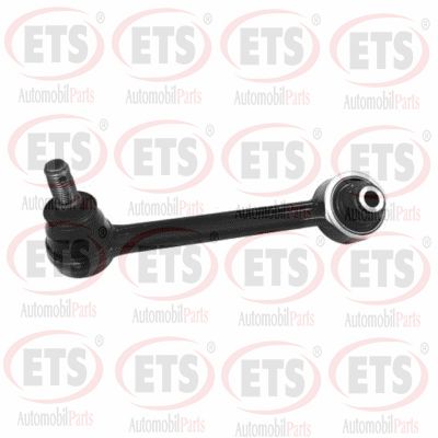 Control/Trailing Arm, wheel suspension (09.CR.250)