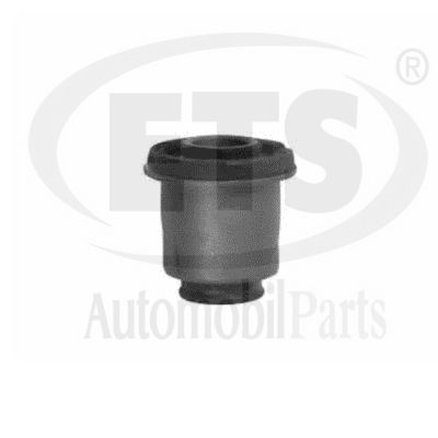 Mounting, control/trailing arm (06.SB.541)
