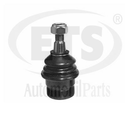 Ball Joint (15.BJ.496)
