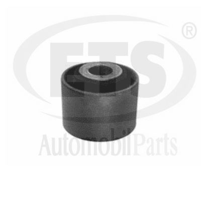 Mounting, control/trailing arm (22.SB.077)