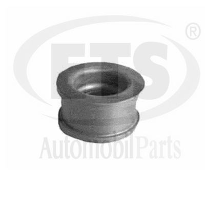Mounting, engine (31.ST.819)