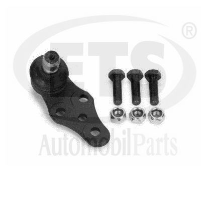 Ball Joint (11.BJ.107)