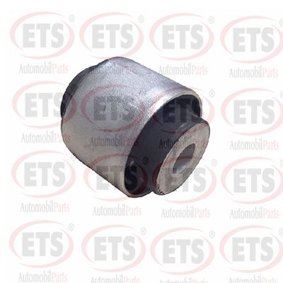 Mounting, control/trailing arm (15.SB.481)
