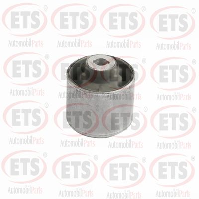 Mounting, control/trailing arm (35.SB.130)